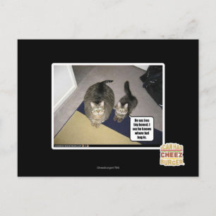 Carte Postale Il grand de hes de sez désossé