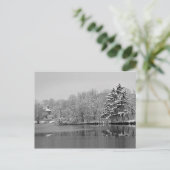 Carte Postale Il neige sur le lac, Monochrome Panoramique (Debout devant)