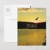 Carte Postale Il N'Y A Pas De Coïncidence (Devant / Derrière)