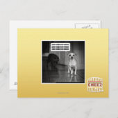 Carte Postale Il n'y a rien à craindre (Devant / Derrière)