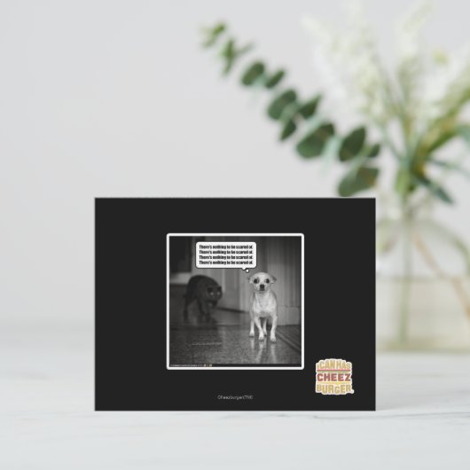 Carte Postale Il n'y a rien à craindre (Debout devant)