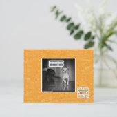 Carte Postale Il n'y a rien à craindre (Debout devant)