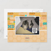 Carte Postale Il se fait chier. (Devant / Derrière)