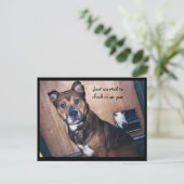 Carte Postale Il suffit de vous suivre. (Debout devant)