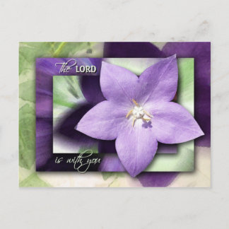 Carte Postale Il Te Calmera avec Son Amour