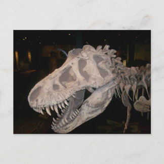 Carte Postale Il va vous manger ! ! !