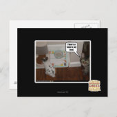 Carte Postale Il y a des lièvres en ma nourriture (Devant / Derrière)