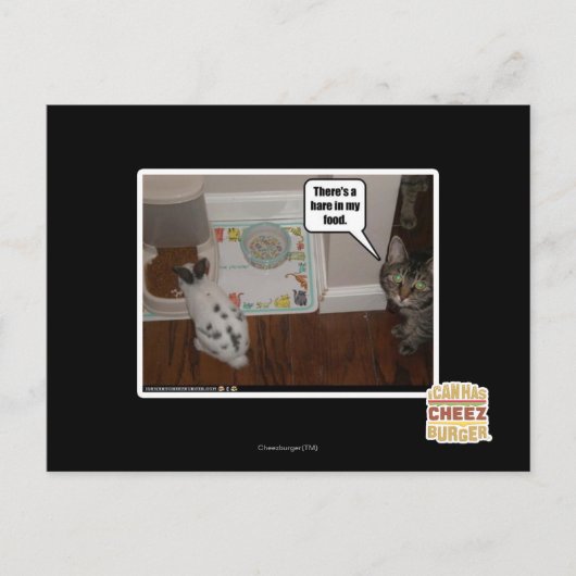 Carte Postale Il y a des lièvres en ma nourriture (Devant)