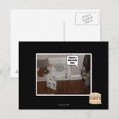 Carte Postale Il y a un lièvre dans ma nourriture. (Devant / Derrière)