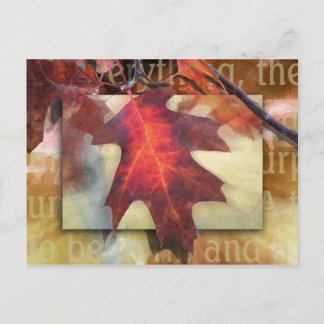 Carte Postale Il y a une saison