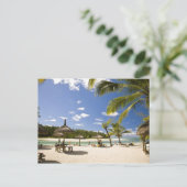 Carte Postale Ile Aux Cerf, la journée la plus populaire pour 3 (Debout devant)