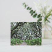 Carte Postale Île Cumberland (Debout devant)