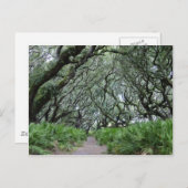 Carte Postale Île Cumberland (Devant / Derrière)