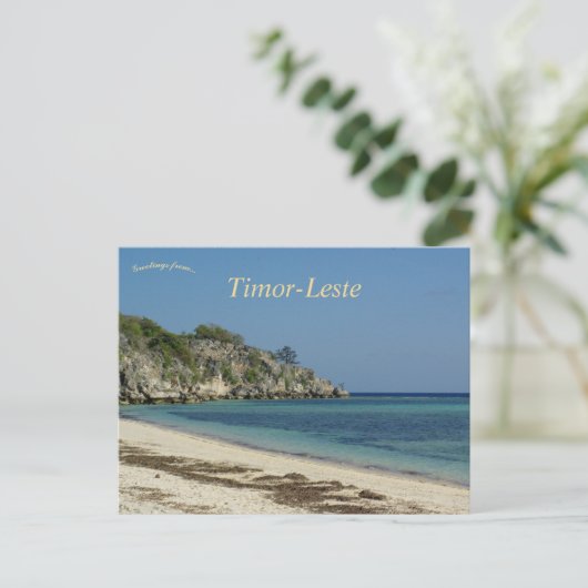 Carte Postale  Île d'Atauro Timor-Leste (Debout devant)