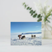 Carte Postale Île de Baffin, Territoires du Nord-Ouest (Debout devant)
