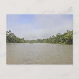 Carte Postale Île de Bornéo, Malaisie, vue panoramique