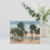 Carte Postale Île de chasse, Caroline du Sud (Debout devant)