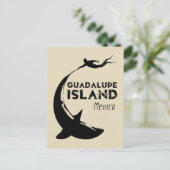 Carte Postale Île de Guadalupe Mexique | Plongée avec requins (Debout devant)