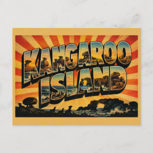 Carte Postale Île de Kangourou Australie-Méridionale Australie C