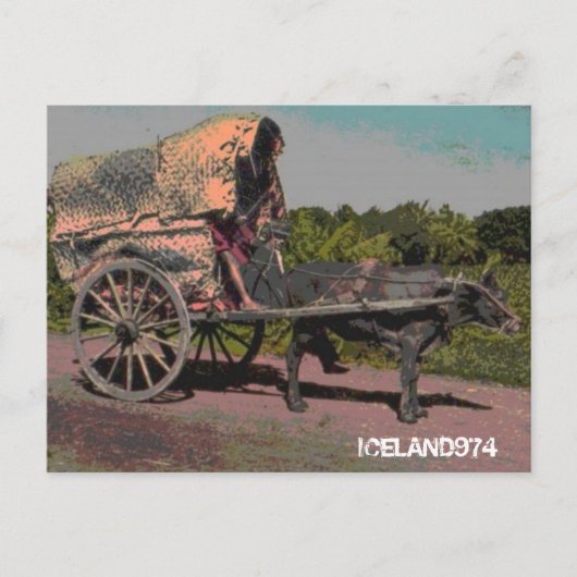 CARTE POSTALE-ILE DE LA REUNION-ISLANDE974 (Devant)