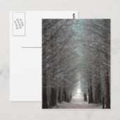 Carte Postale Île de Mull Forest (Devant / Derrière)