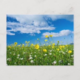 Carte Postale île de South Uist   Écosse