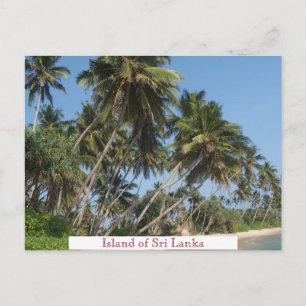Carte Postale Île de Sri Lanka Tourisme Vintage voyage Ajouter