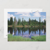 Carte Postale Île de Vancouver, parc provincial Strathcona 2 (Devant / Derrière)