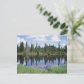 Carte Postale Île de Vancouver, parc provincial Strathcona 2 (Debout devant)