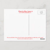 Carte Postale Île-du-Prince-Édouard Vache laitière (Dos)