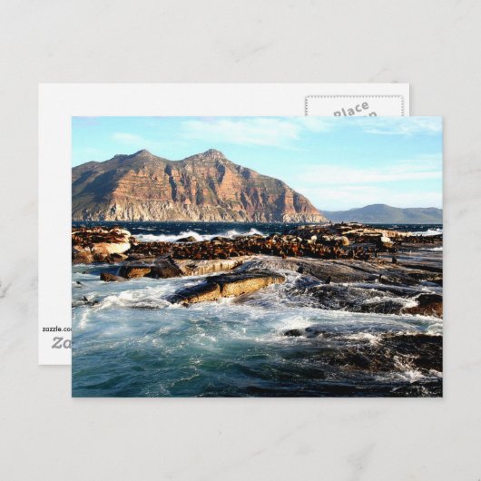 Carte Postale Île Duiker, Afrique du Sud (Devant / Derrière)