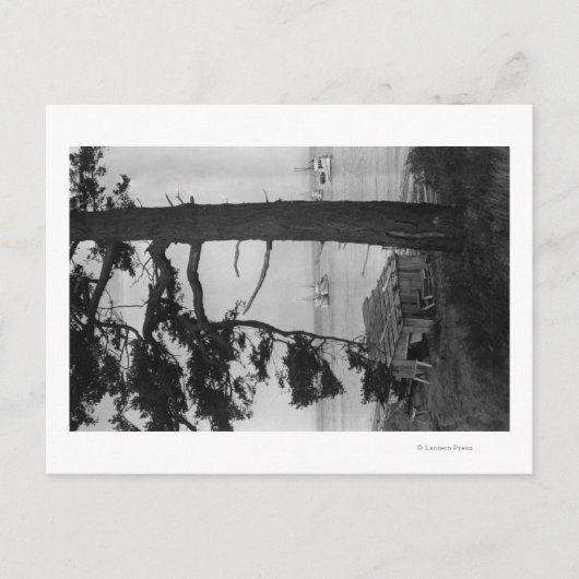 Carte Postale Île Lopez, WA - Bateaux De Pêche Dans La Baie (Devant)