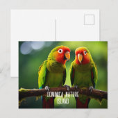 CARTE POSTALE ÎLE NATURELLE DE PARROTS DOMINICA (Devant / Derrière)