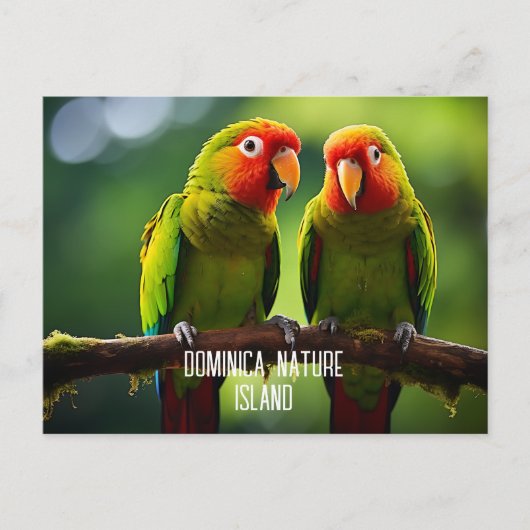 CARTE POSTALE ÎLE NATURELLE DE PARROTS DOMINICA (Devant)