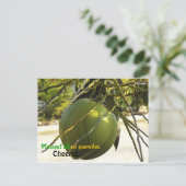 Carte Postale Île (noix de coco) (Debout devant)