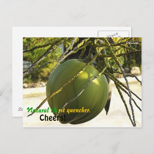 Carte Postale Île (noix de coco) (Devant / Derrière)