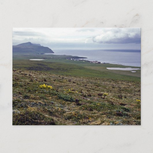 Carte Postale Île St. George, Pribilofs 1987 (Devant)