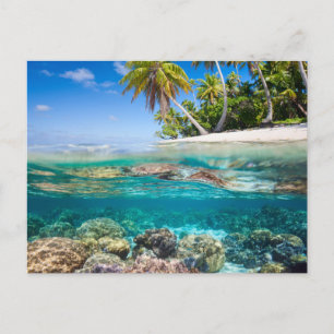 Carte Postale Île tropicale sous et au-dessus de l'eau