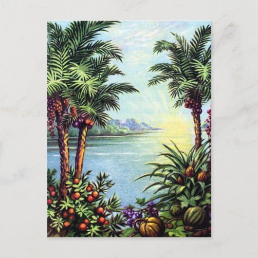 Carte Postale Île vintage (Devant)