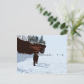 Carte Postale Iles Apôtres GLACES Nationales Lakeshore (Debout devant)