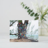 Carte Postale Iles Cayman : arbre à chaussures par océan (Debout devant)