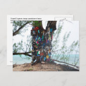 Carte Postale Iles Cayman : arbre à chaussures par océan (Devant / Derrière)