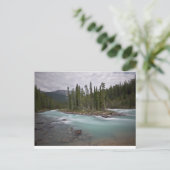 Carte Postale Îles Dans Le Flux (Debout devant)