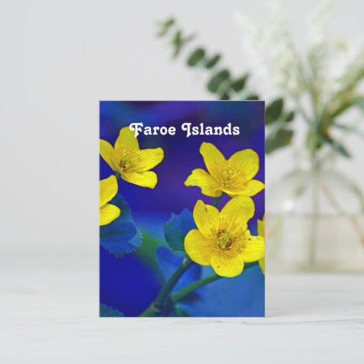 Carte Postale Îles Féroé (Debout devant)