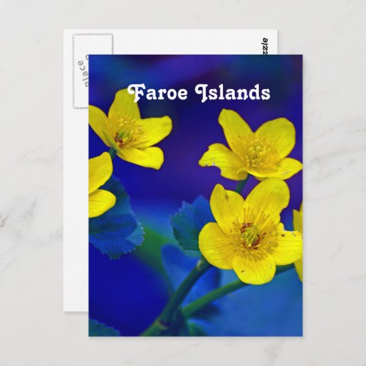 Carte Postale Îles Féroé (Devant / Derrière)