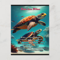 Iles hawaïennes Niihau Aloha