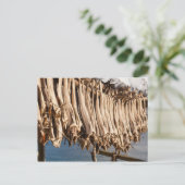 Carte Postale Îles Lofoten (Debout devant)