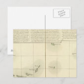 Carte Postale Îles Tuamotu Océanie no 43 (Devant / Derrière)