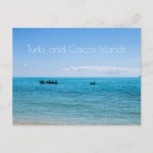 Carte Postale Îles Turques et Caïques (Devant)