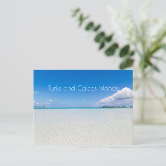 Carte Postale Îles Turques et Caïques (Debout devant)